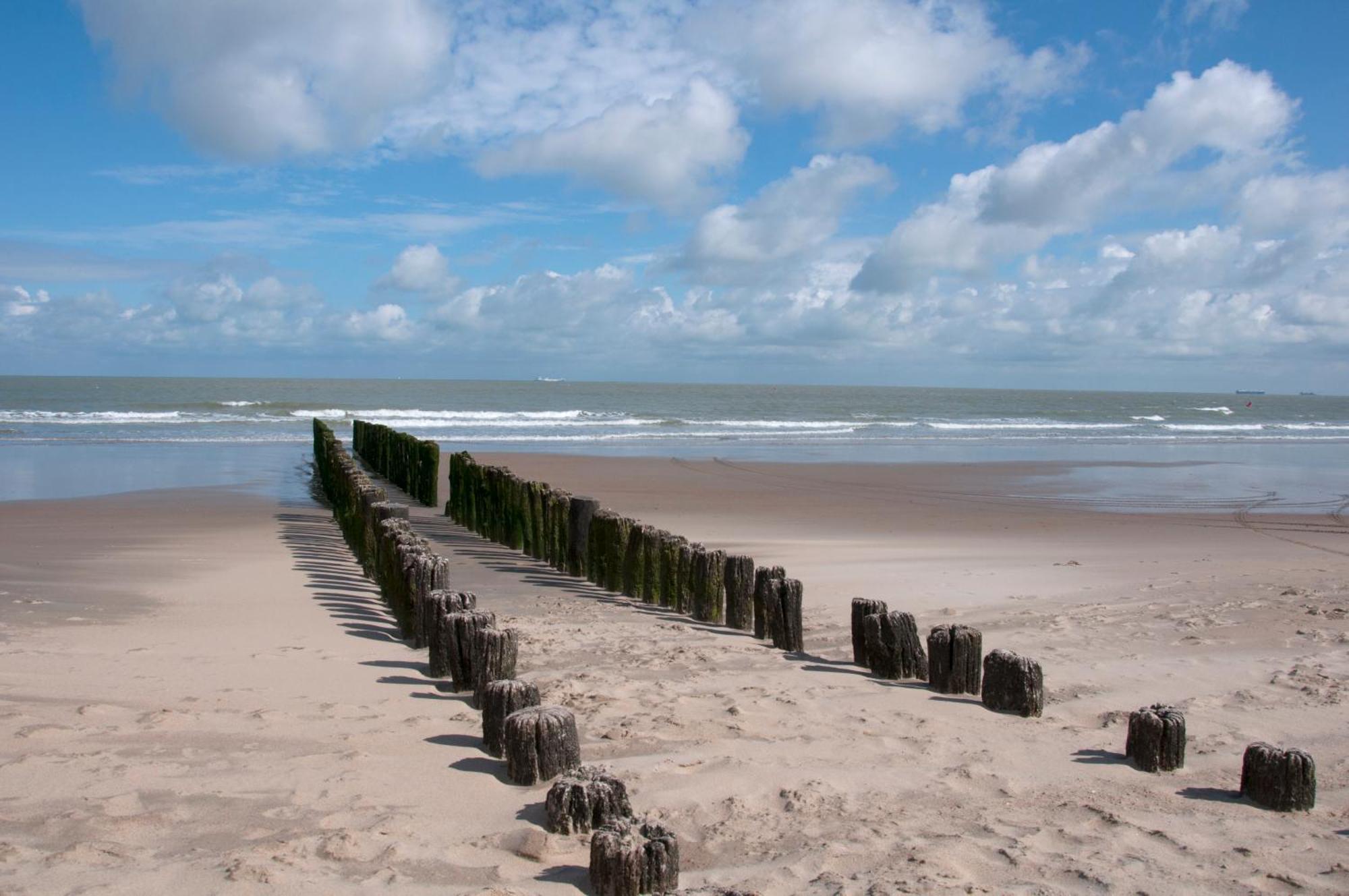 B&B Aquavit Knokke-Heist Bagian luar foto