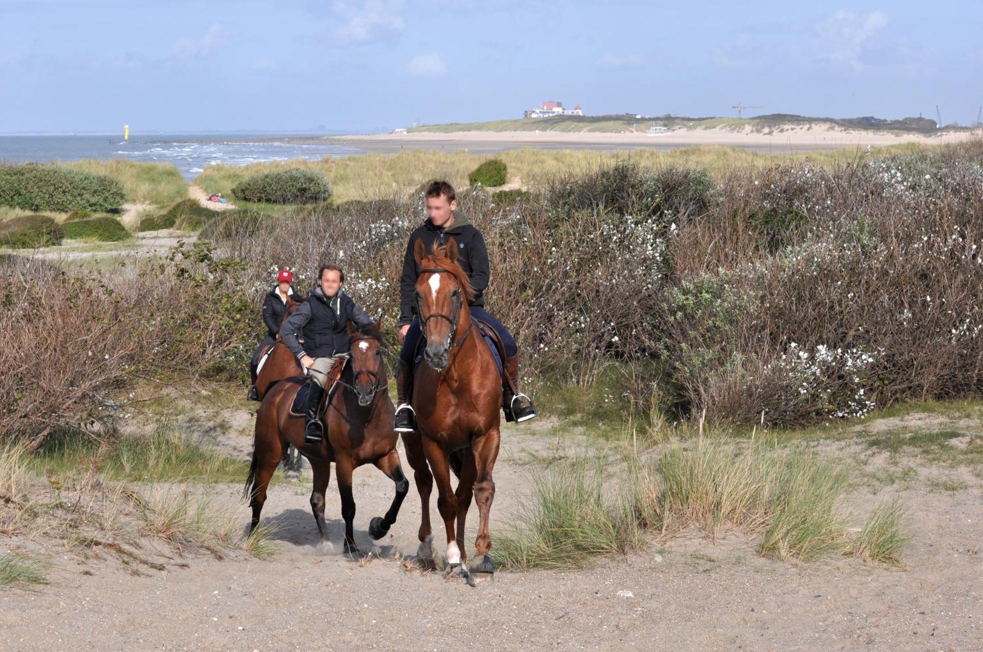 B&B Aquavit Knokke-Heist Bagian luar foto