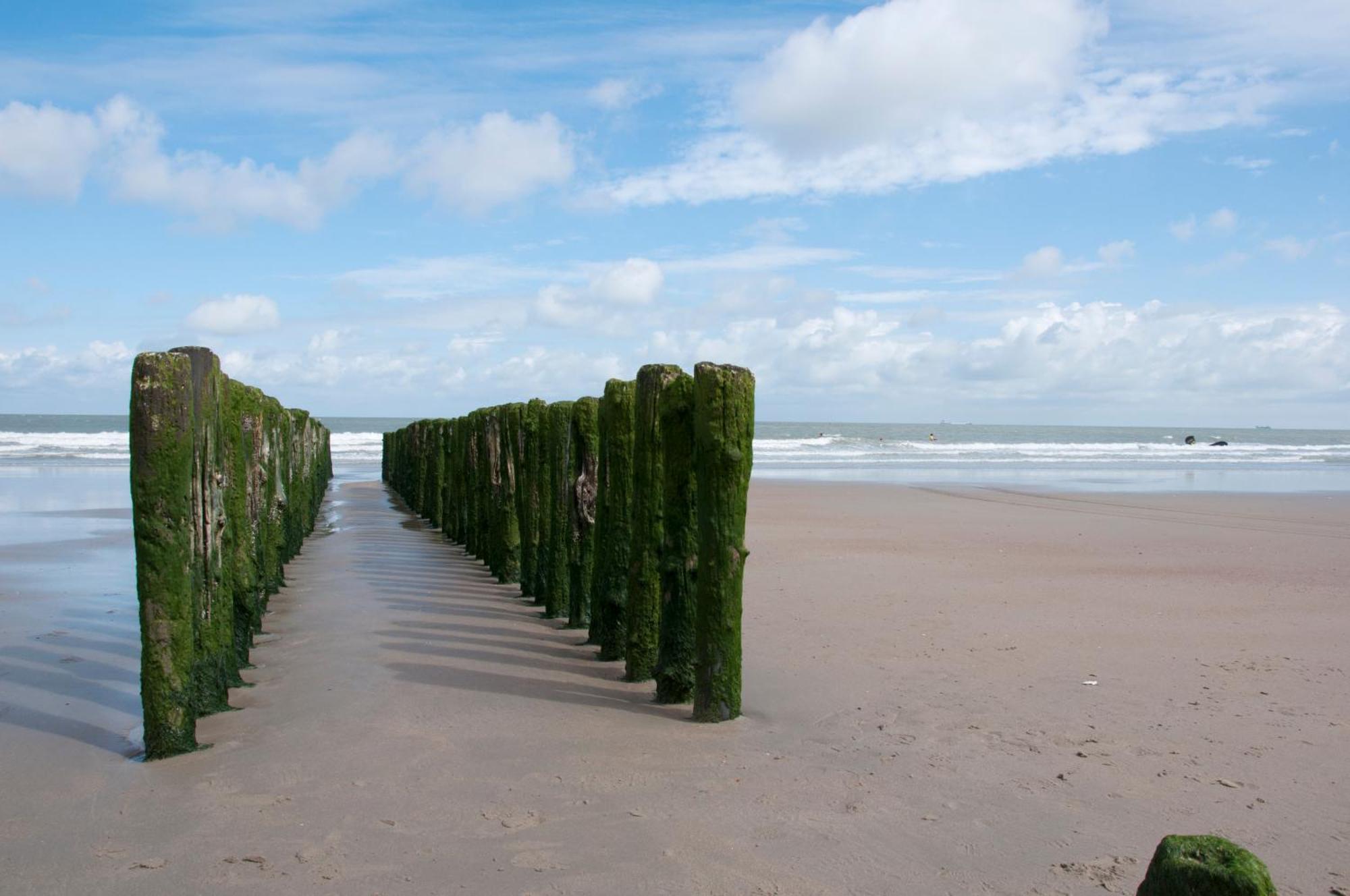 B&B Aquavit Knokke-Heist Bagian luar foto